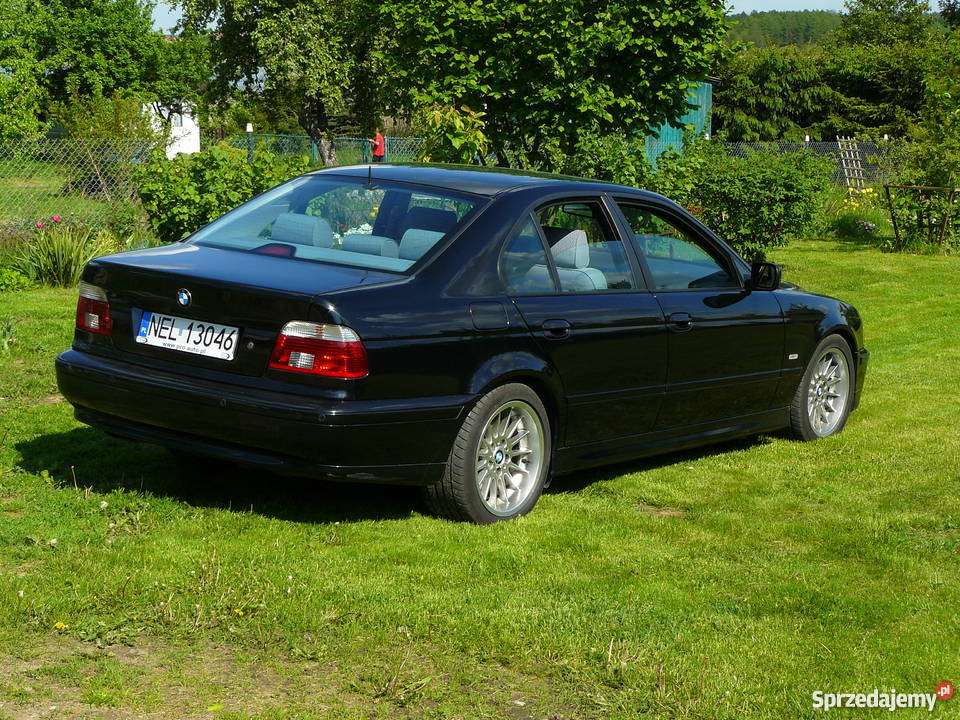 BMW 5 E39 530d Navi 169 manual Ełk
