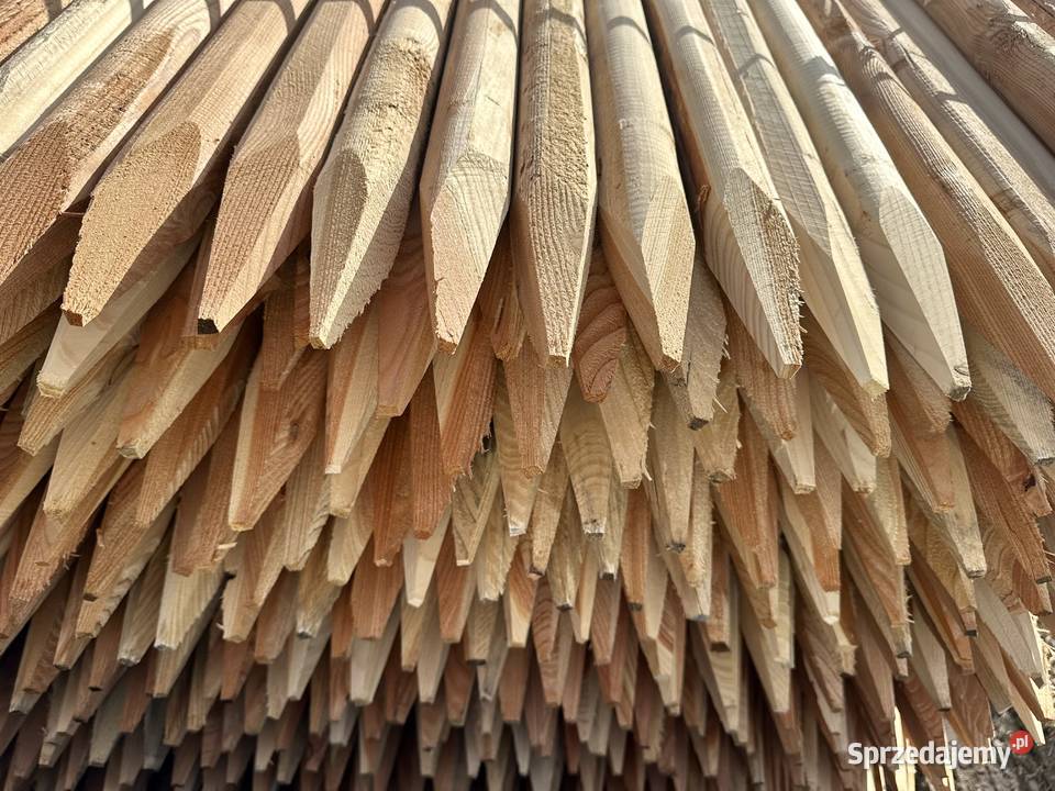 Paliki drewniane okrąglaki do nasadzeń ostrzone Pabianice