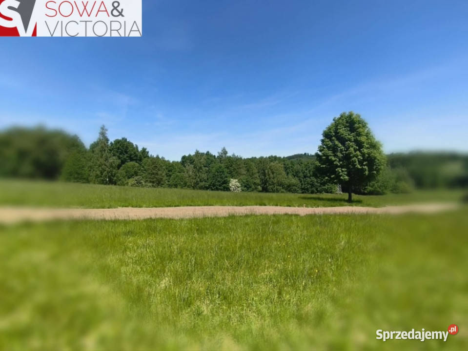 Działka widokowa z prądem wykopany staw dolnośląskie Walim