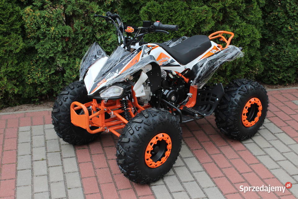 Quad raptor 125 średni 31 dzieci młodzieży Goleniów sprzedam