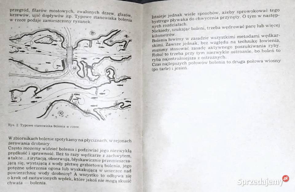Z wędką na bolenia Sylwester Bajor Rok wydania 1988 lubelskie Chełm