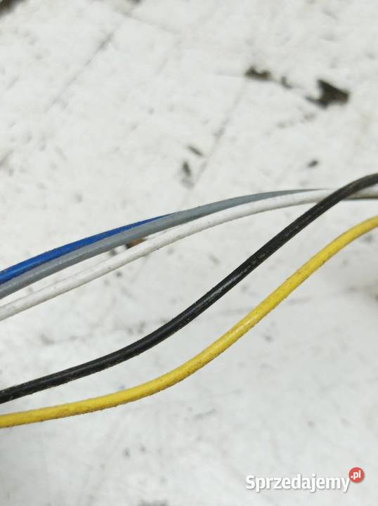 SONDA LAMBDA 03F906262C 03F906262B 12 B 103 Seat