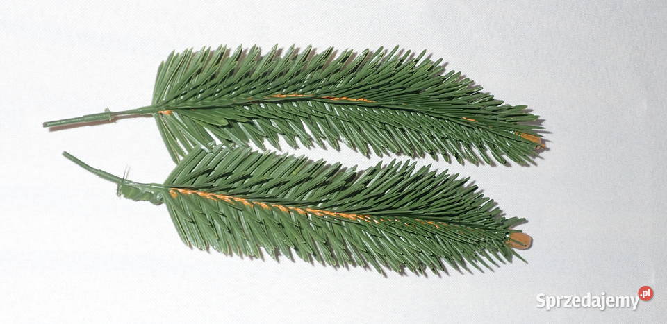 Gałązka jodły na drucie 6 choinka z szyszką 25 Siewierz