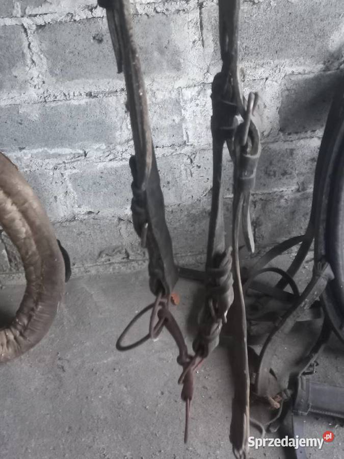 Uprzaz konia Stary Gózd