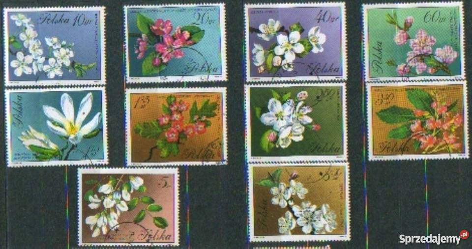 Zn Fi 1985 94 kas 1971