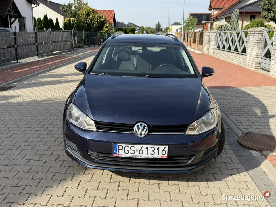 Volkswagen Golf Volkswagen Golf Klimatronic 16 granatowy wielkopolskie Gostyń