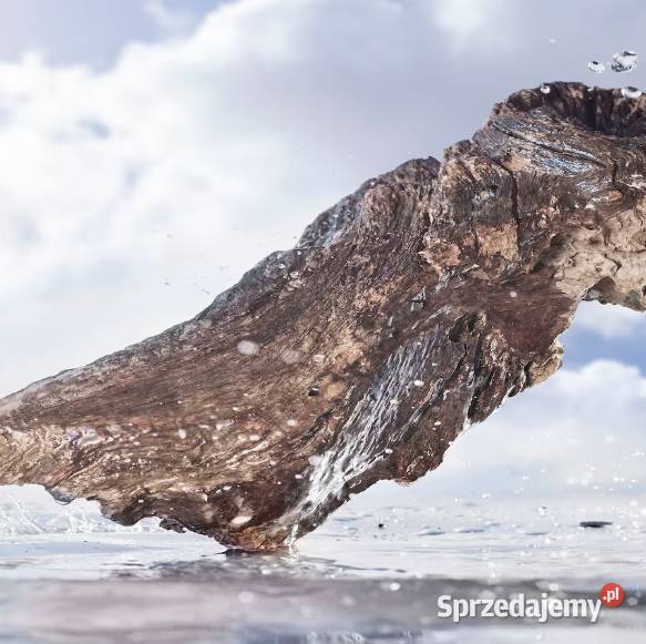 Perfumy męskie Bvlgari Rain Essence świeży Perfumy i wody Białystok