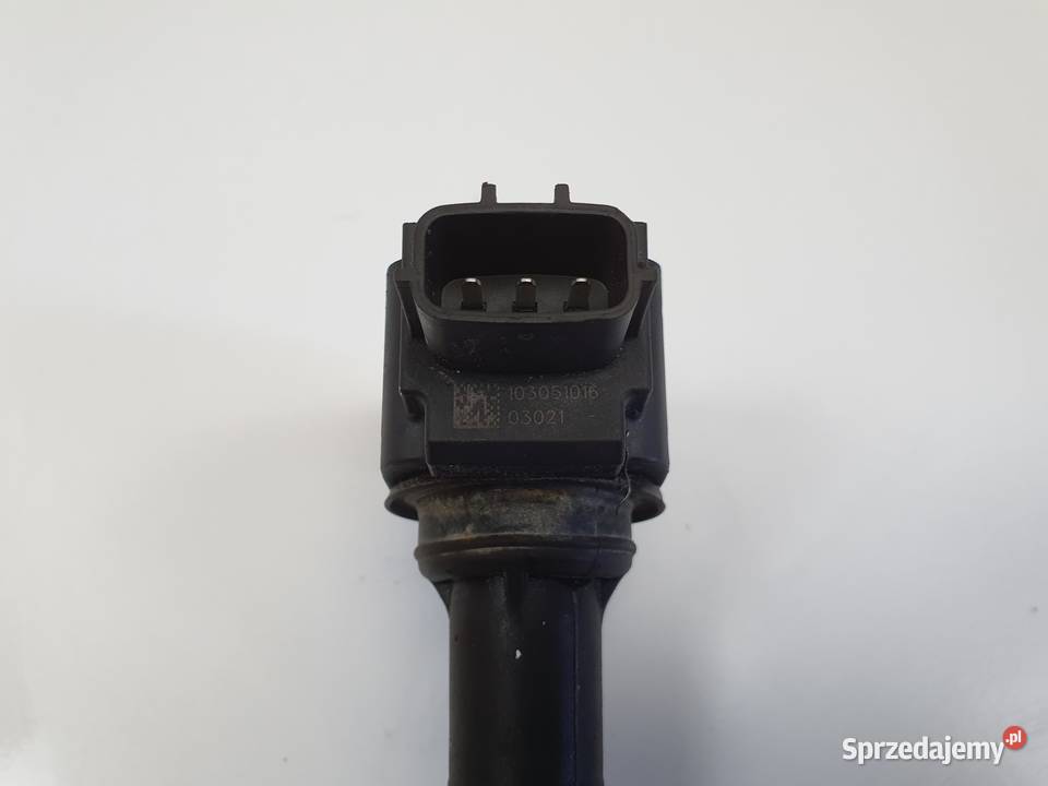 CEWKA ZAPŁONOWA Dacia Lodgy 12 TCe 224332428R Pozostałe Rudka