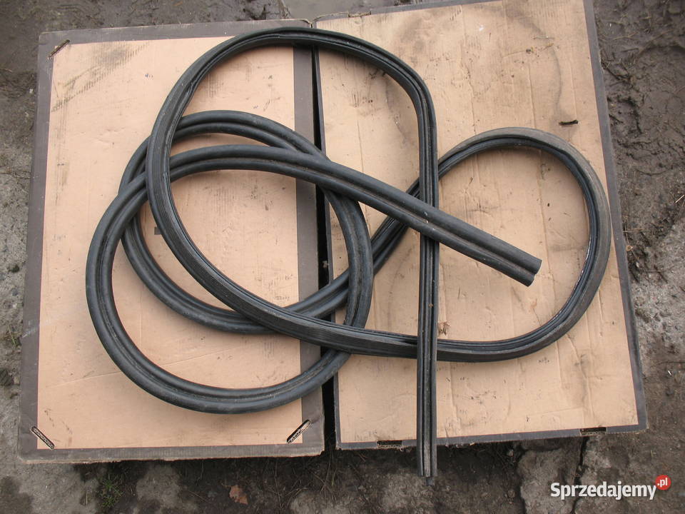 uszczelki drzwi szyb renault scenik II lubelskie Lublin sprzedam