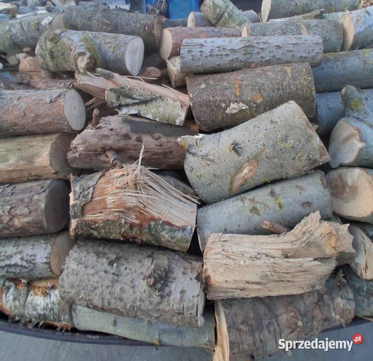 Drewno opałowe w 250 m3 wielkopolskie