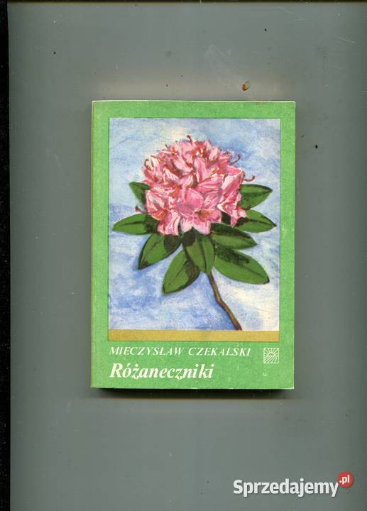 Różaneczniki miękka