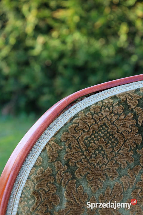 ARTexpert Stylowy fotel EMMA Dobrzany