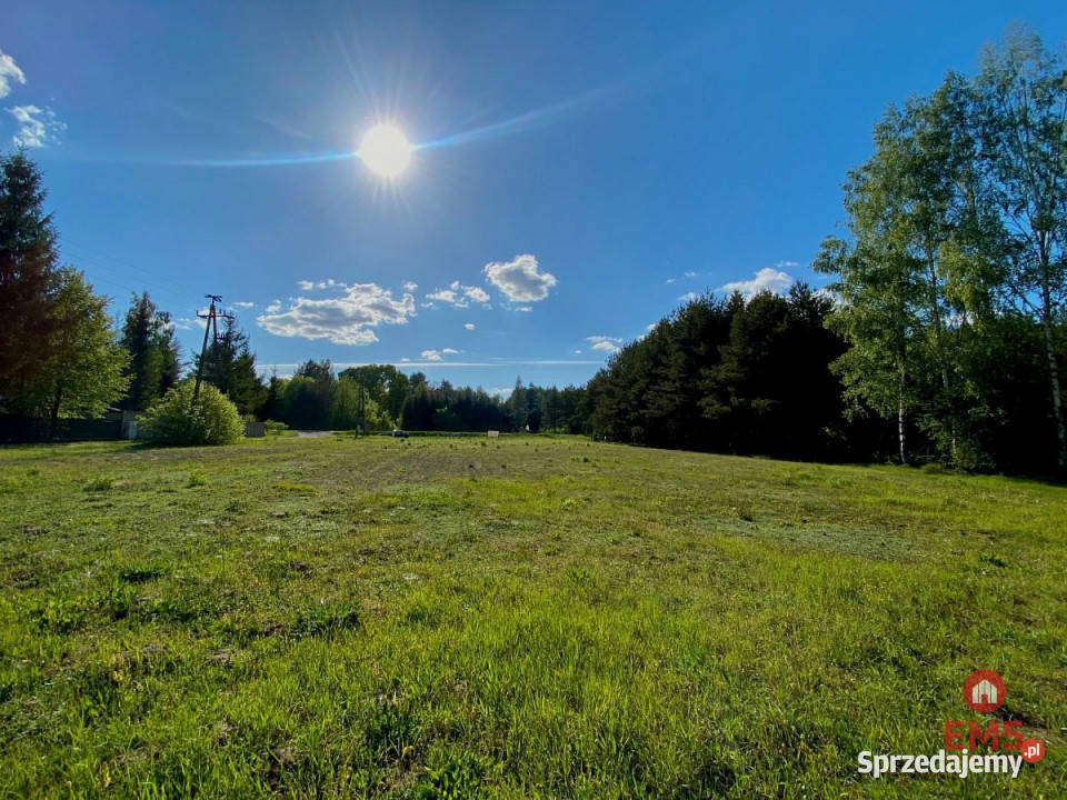 sprzedaży gruntu 3794m2 Katrynka