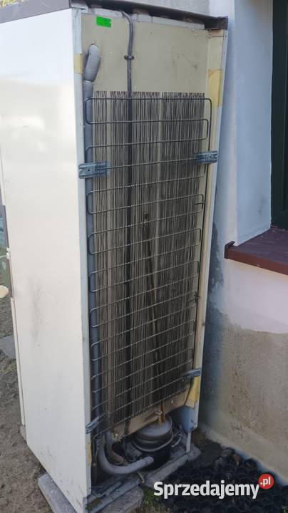 Lodówki zamrażarka Siemens 190 wys Sprawna Oddam Gronowo
