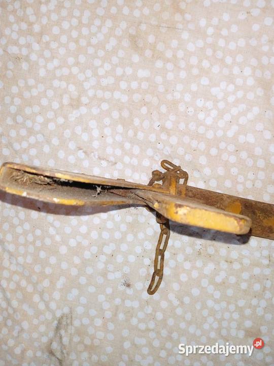 Bolec z PRLU Bizon Bizon Rekord Zbożowe Pruszcz Gdański