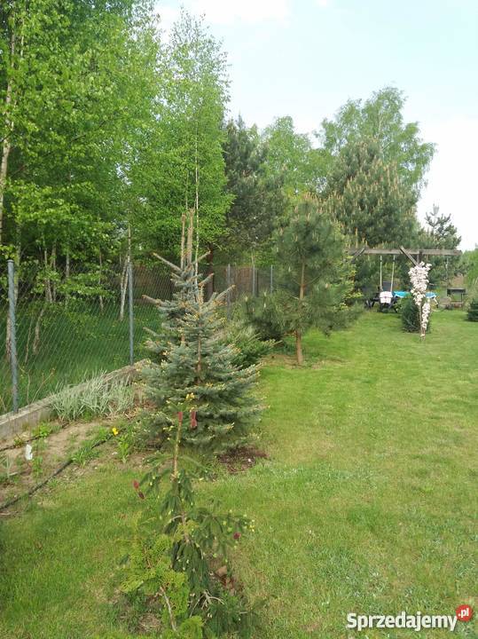 Sprzedam dom Legionowo Jabłonna Jagiełłońska strych Nieruchomości