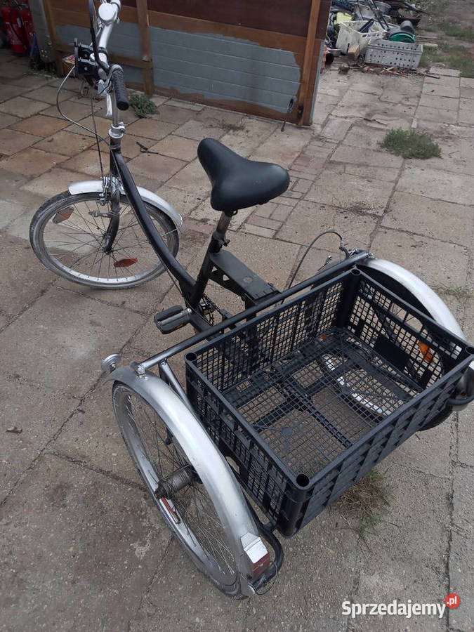rower trójkołowy dorosłych Nietków