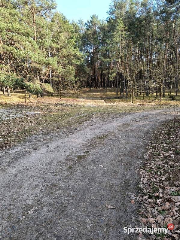 Syndyk sprzeda udział 25 w nieruchomości w Woli Wola Ducka