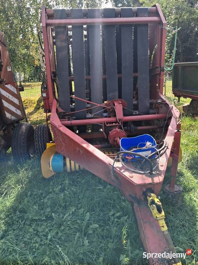 Sprzedam prase z 230 Owijarki do bel Gliwice