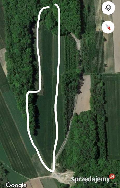 Sprzedam pole Aleksandrówka gmina Batorz 11600m2