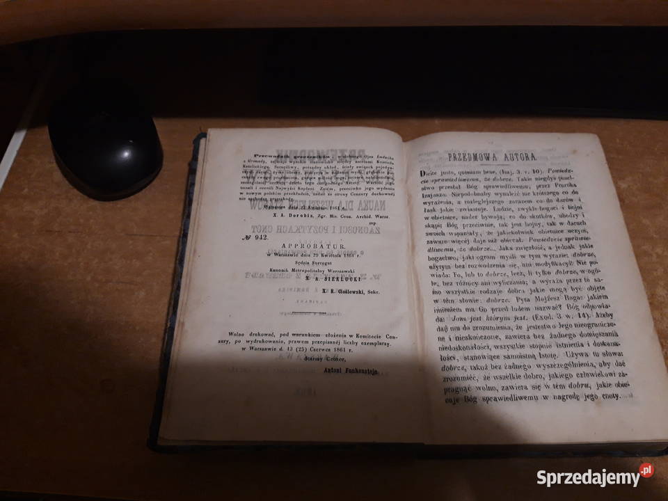 PRZEWODNIK GRZESZNIKÓW ŚwLudwika z Grenady