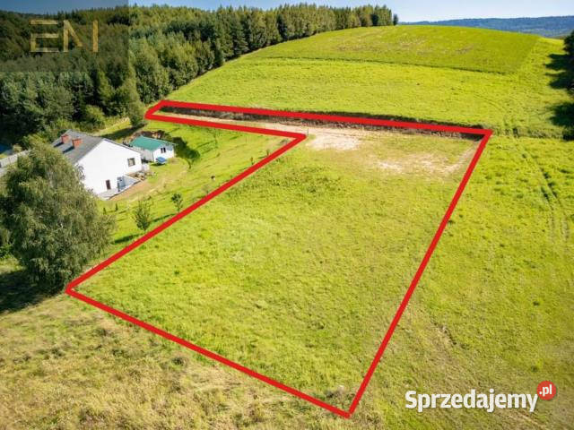 Sprzedam grunt Strzyżów 2300m2 podkarpackie sprzedam