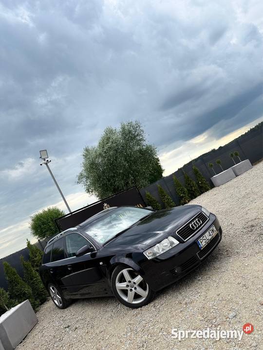 Audi A4B6 2004r 25 TDI 163 405 przebiegu Stan w przyciemniane szyby wielkopolskie Śrem