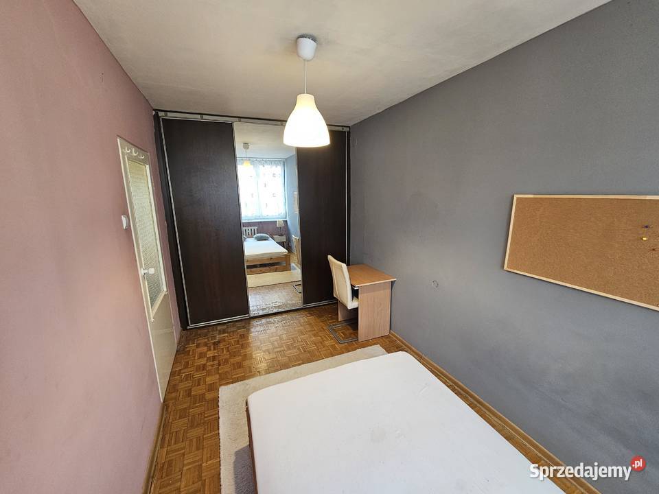 2pok 48met Zielińskiego PEŁEN ROZKŁADPIWNICA parter Wrocław