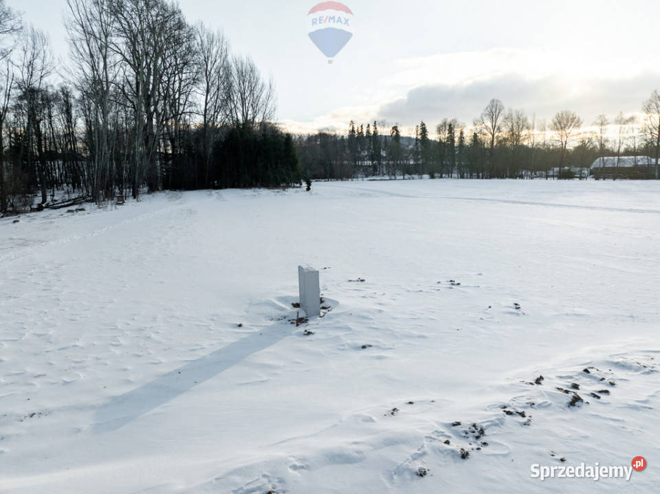 Działka budowlana Ciche Sprzedaż