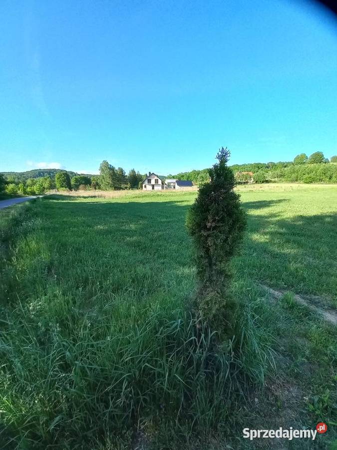 Piękną widokową działka w Gogołowie Gogołów