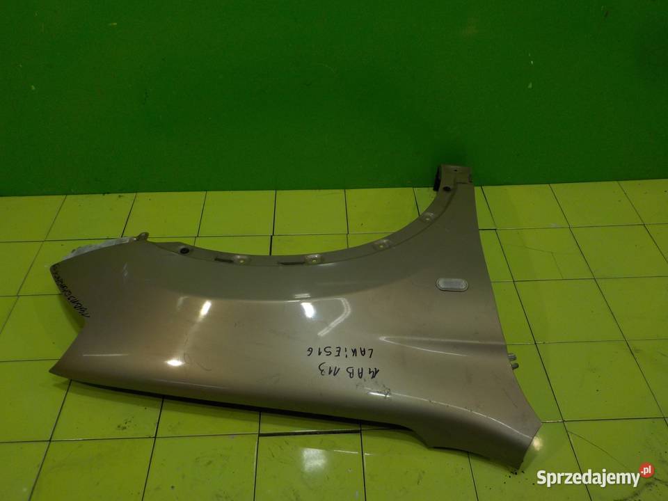 NISSAN QASHQAI J10 I 07r 5D blotnik prawy przod mazowieckie