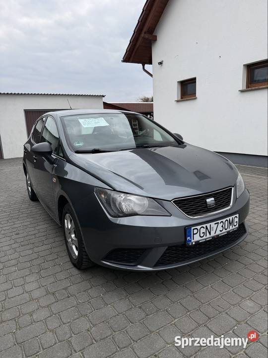 Seat Ibiza Witkowo