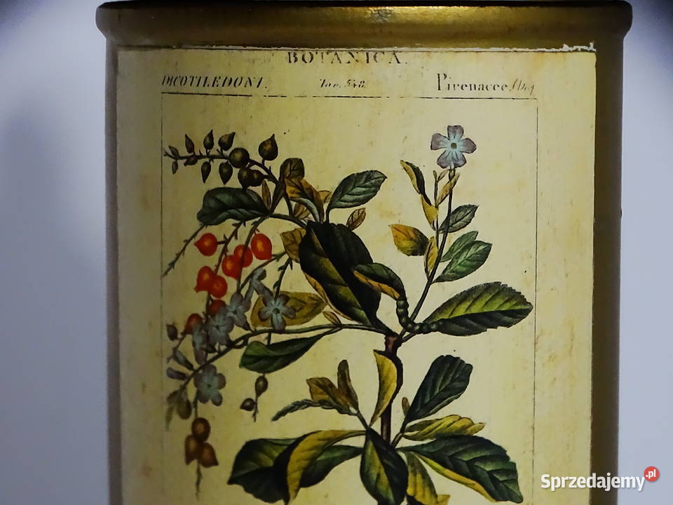 Zabytkowy pojemnik aptekarski z ilustracją Biłgoraj