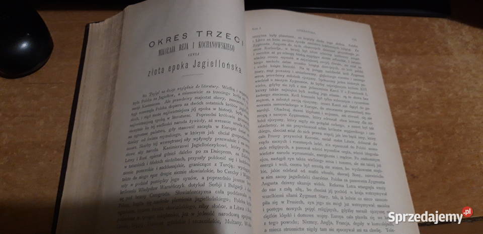 HISTORJA LITERATURY POLSKIEJT1 2JBARTOSZEWICZ wielkopolskie sprzedam
