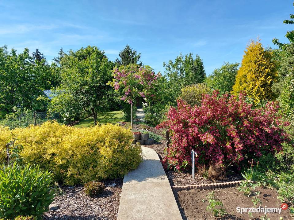 Sprzedam Działkę ogrodową ROD Stargard