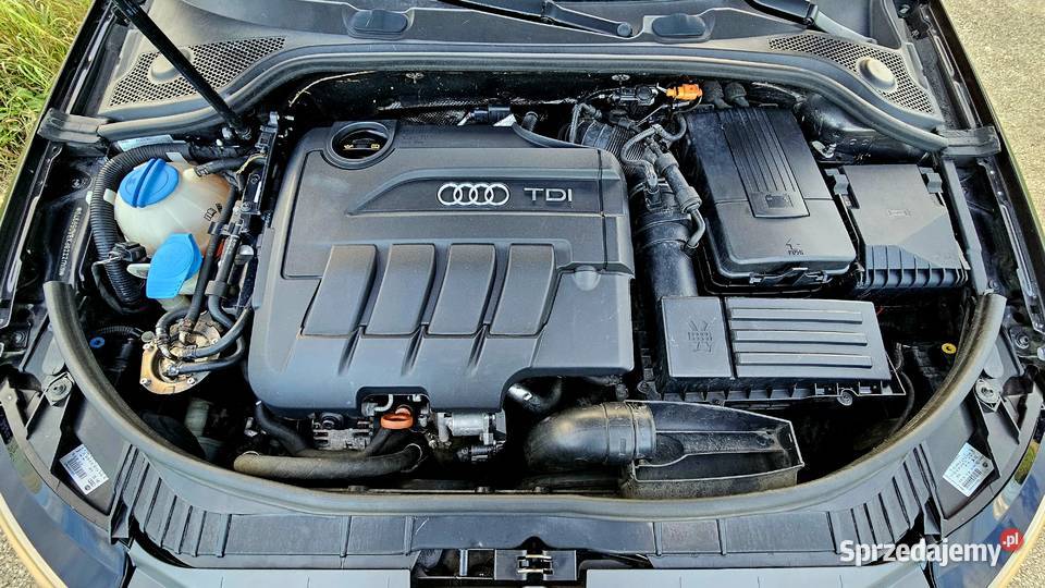 AUDI A3 8P LIFT 20 TDI 140 manualna Szarów