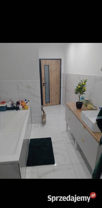 Sprzedam dom z dużą działką Nacpolsk