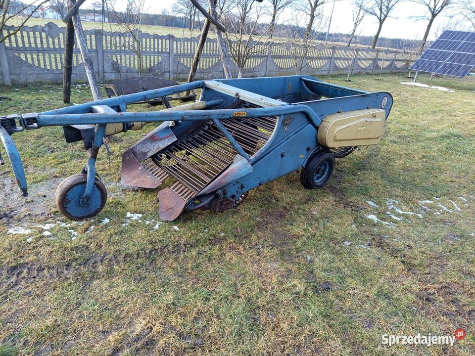 Kopaczka elewatorowa do ziemniaków chrzan cebula Szynkielów sprzedam