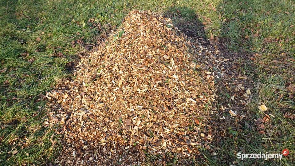 Spalinowy Rębak Rozdrabniacz gałęzi Sieradz