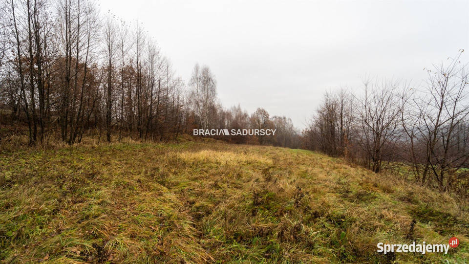 Grunt Podstolice 3600m2