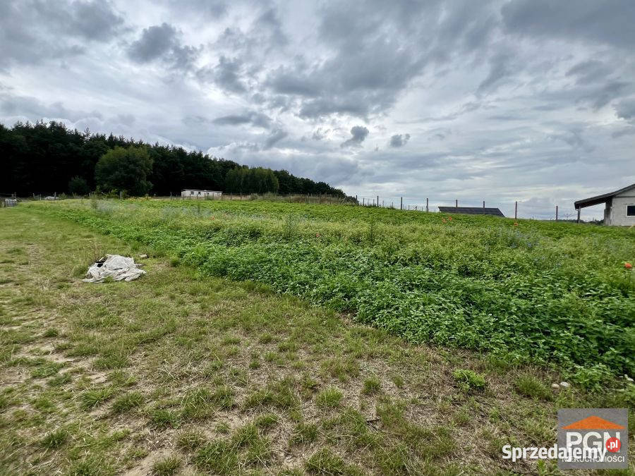 Działka 6730m2 Golczewo
