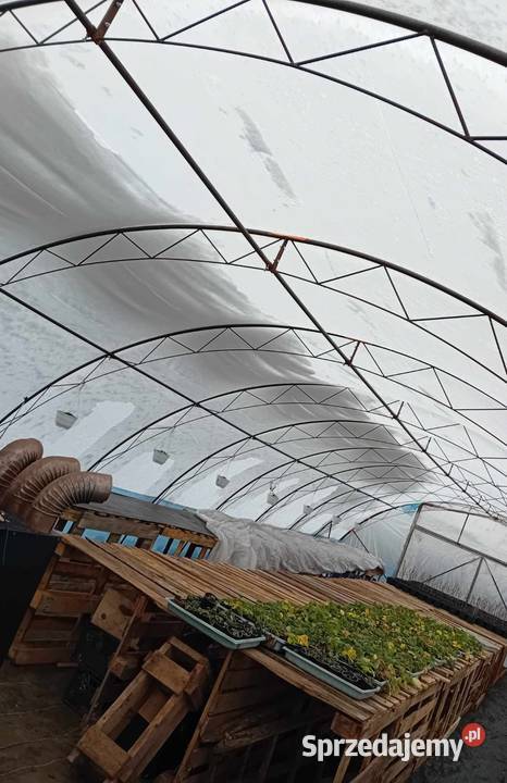 Palety 120x80 kujawsko-pomorskie