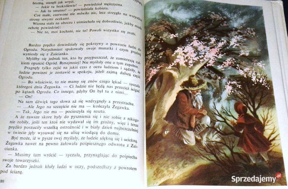 Królestwo bajki Ewa SzelburgZarembina Chełm