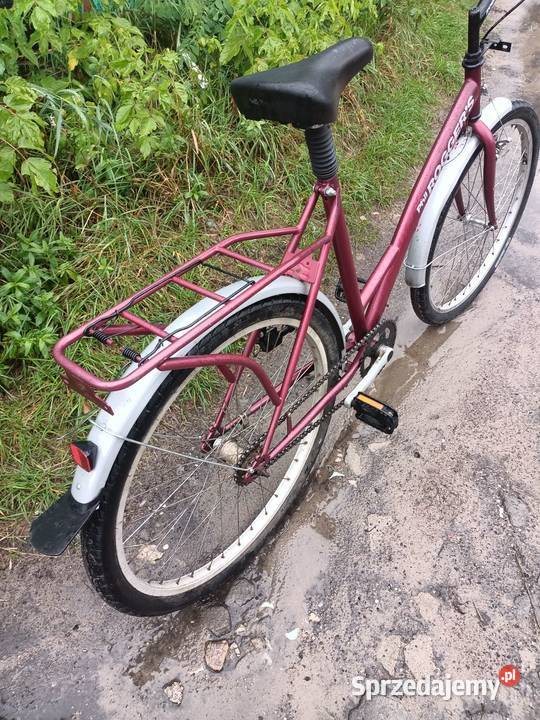 Rower Phil Roggers koła 26 damka Toruń