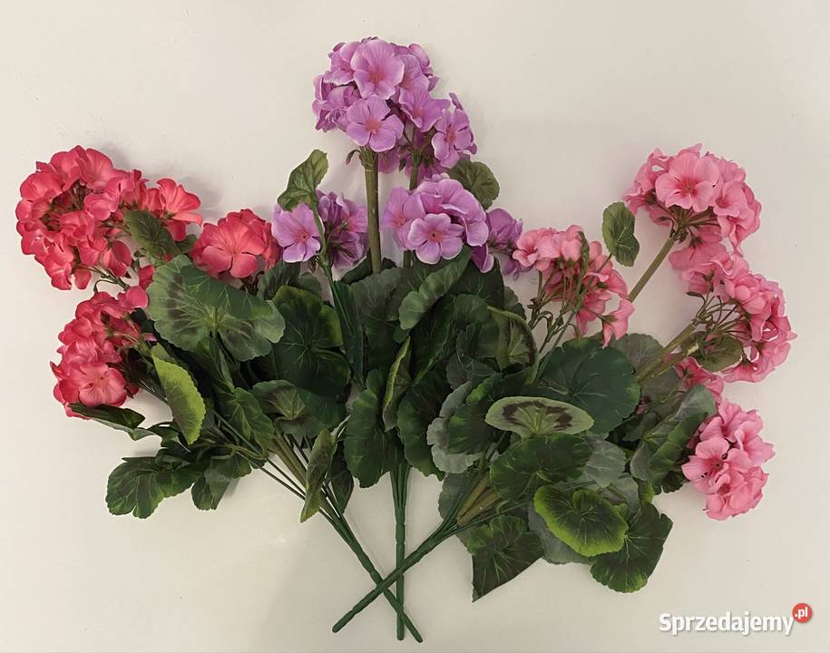 Pelargonia sztuczna Słubice