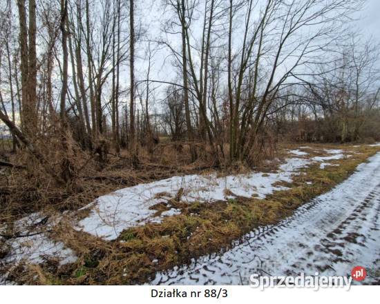 Syndyk sprzeda nieruchomości gruntowe położone w wielkopolskie Świątniki