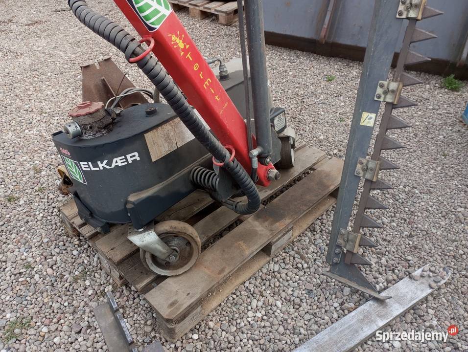 Piła obcinarka do gałezi wielkopolskie Buk