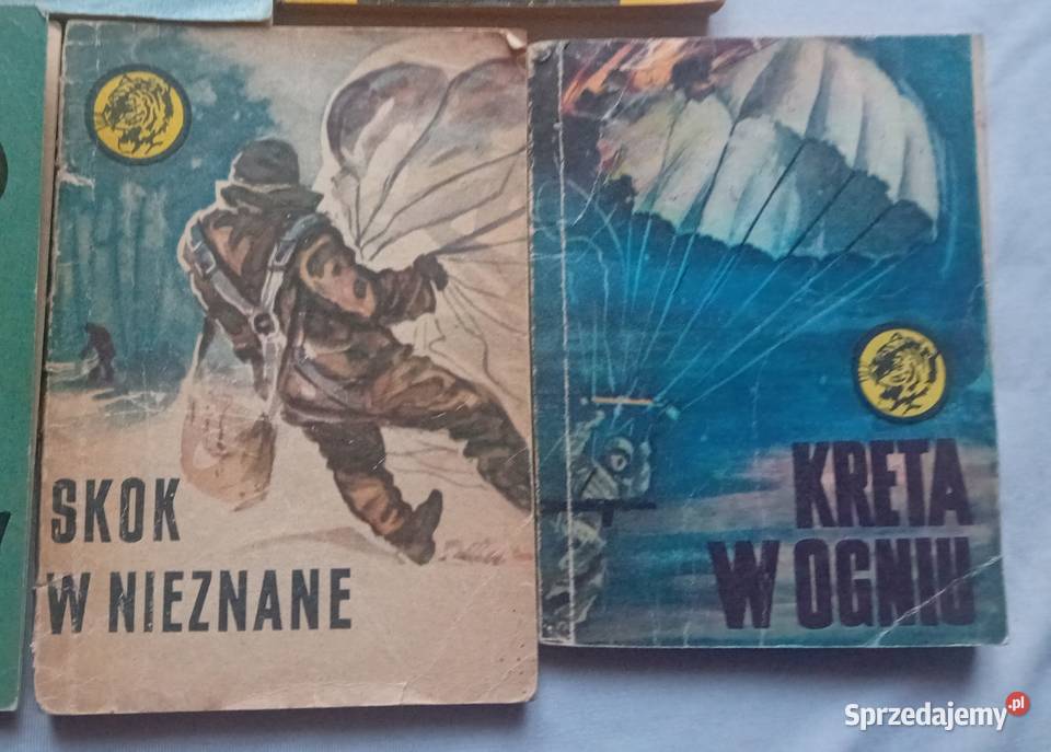 Zestaw 10 książeczek z serii Żółty Tygrys Lata Koźminek