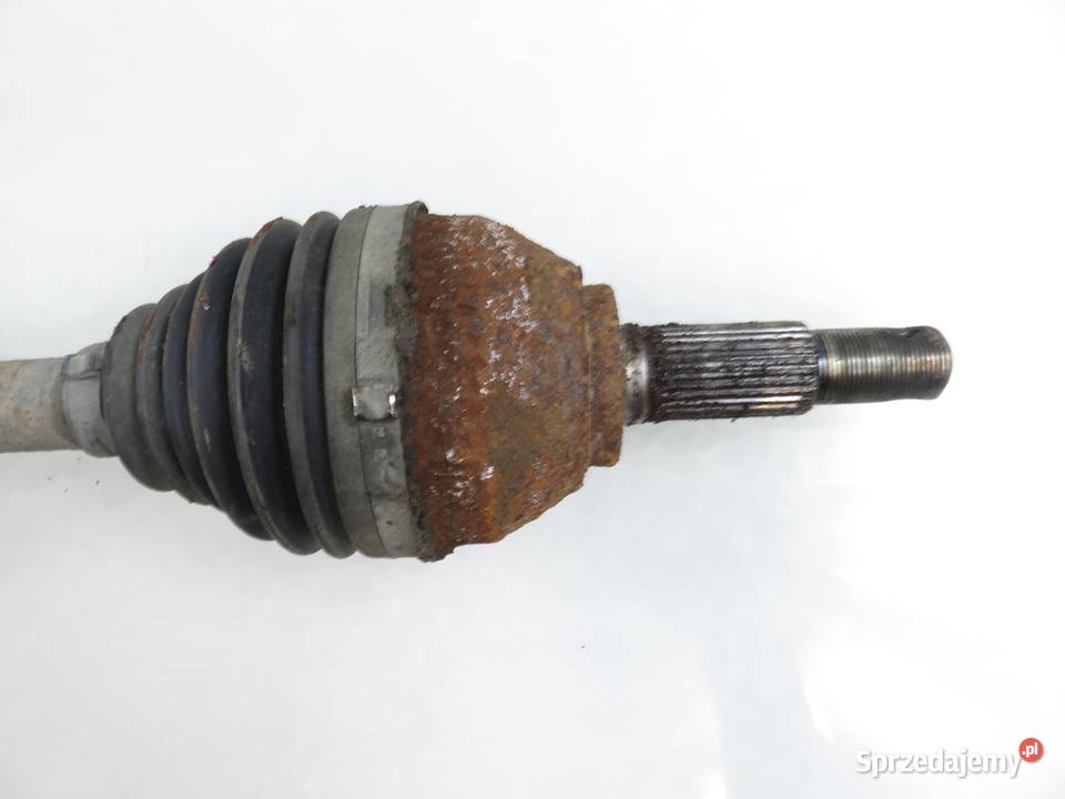 PÓŁOŚ LEWA PRZEDNIA RENAULT KOLEOS I 20 dCi 4x4 osobowe małopolskie