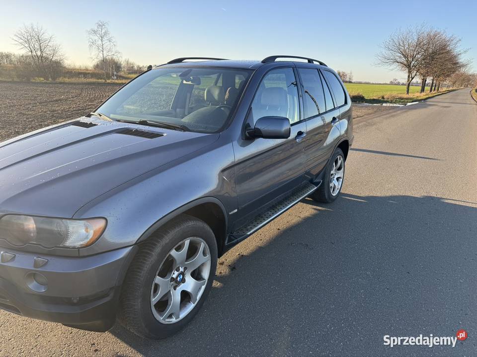 Sprzedam BMW x5 e53 Rok produkcji 2003 X5 Domecko